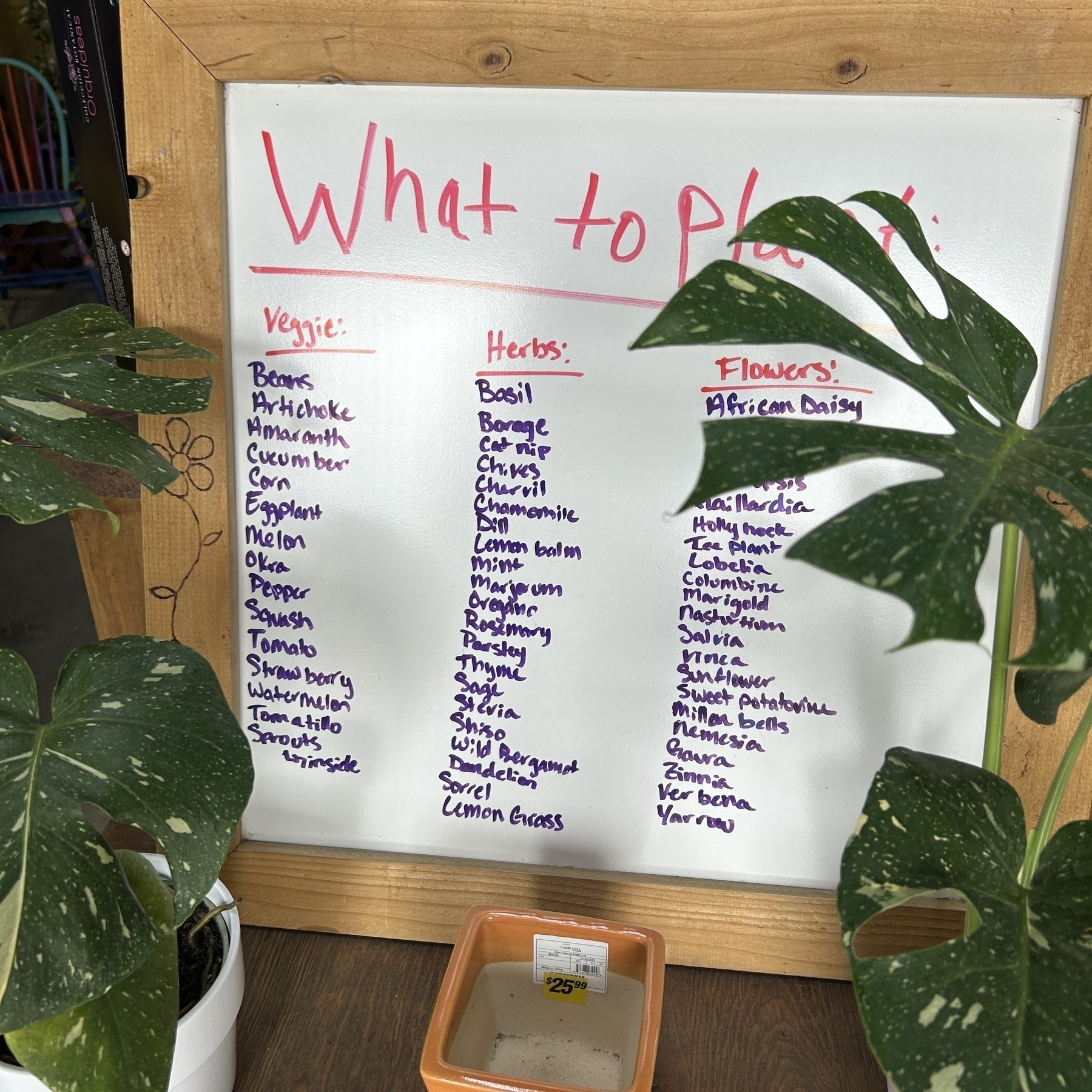 List of plants on a whiteboard under the heading to plant. The whiteboard is surrounded by plants.